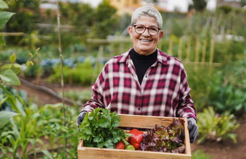 Votre potager sur pied